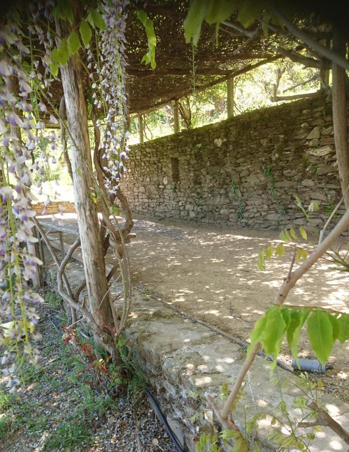 Le Mercou en Cévennes Saint-Martin-de-Boubaux Extérieur photo