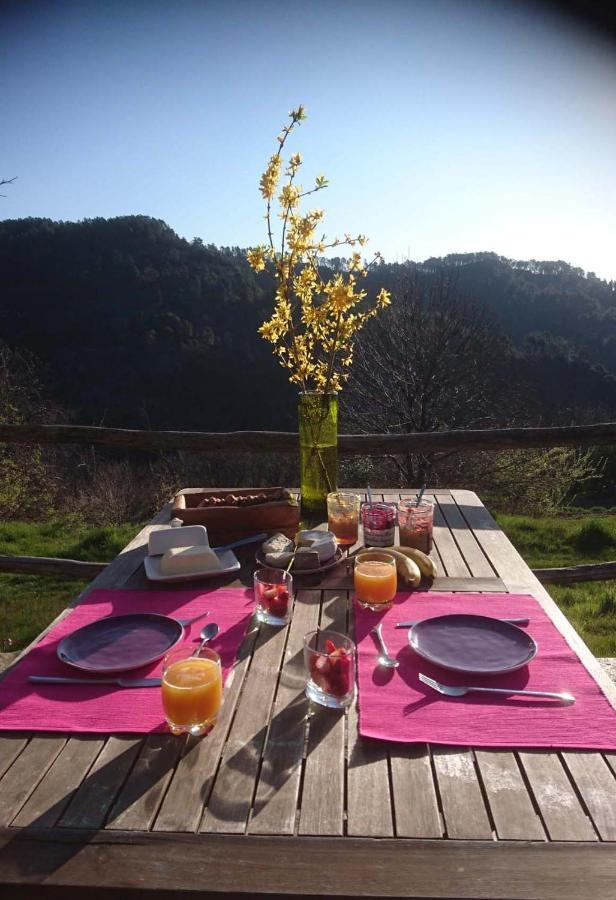 Le Mercou en Cévennes Saint-Martin-de-Boubaux Extérieur photo